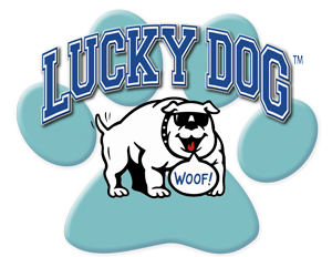 Lucky Dog
